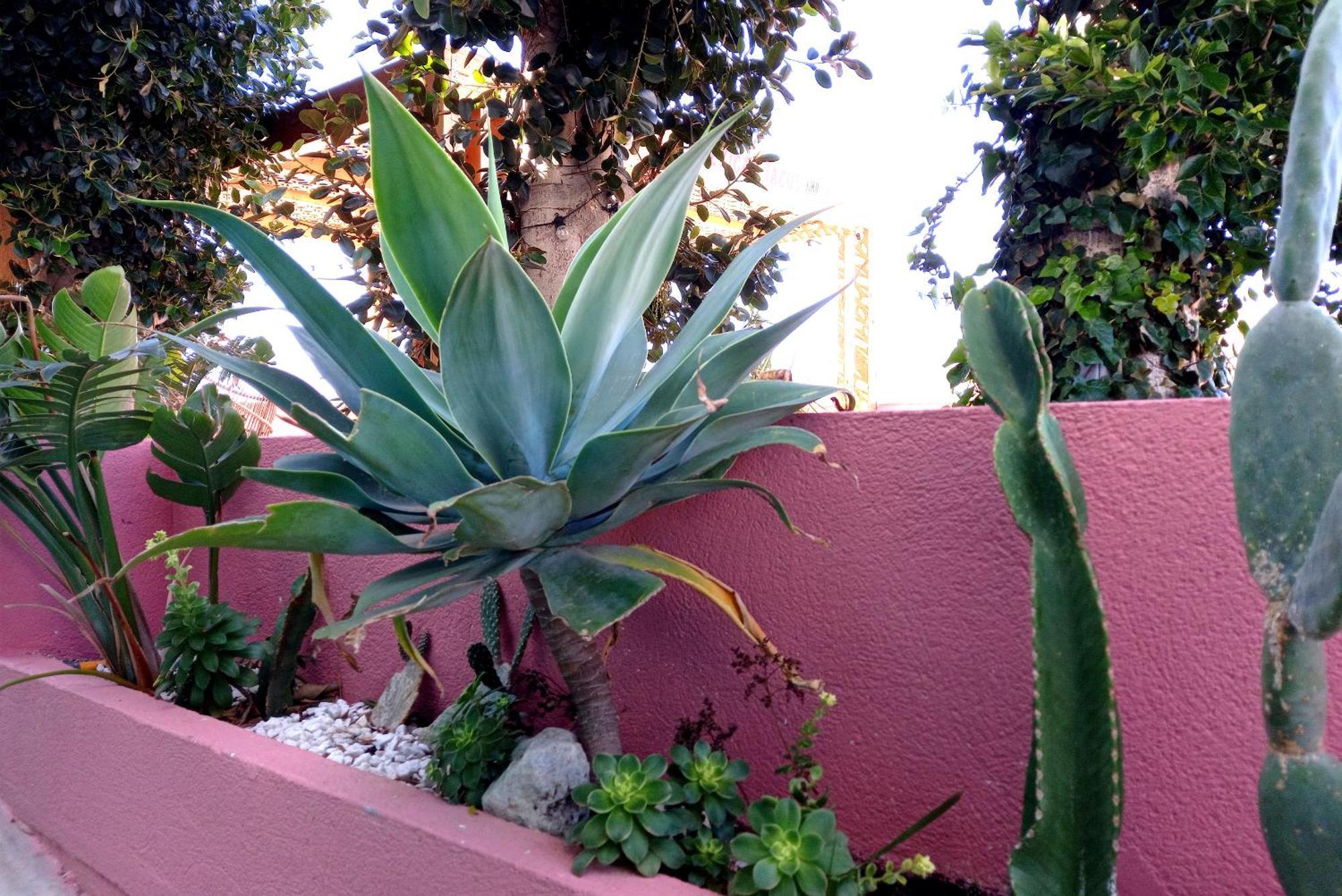 Hostal Boutique Bajio El Pozo de los Frailes Exterior foto
